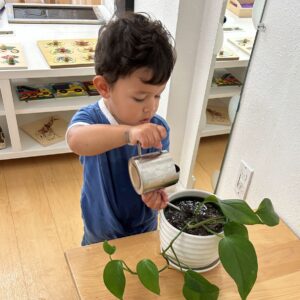 Цэцэгчин Дунд бүлэг