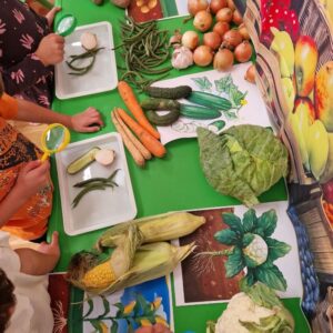 Ногоотой танилцъя Ахлах тоглоом аргачлал