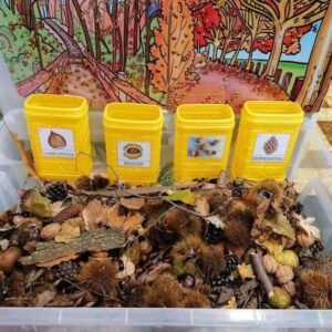 Намрын эрдэнэсийн сан Ахлах тоглоом аргачлал