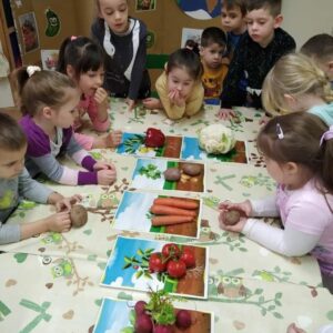 Ургамлын ямар хэсгийг бид иддэг вэ? Бэлтгэл бүлэг