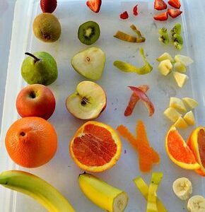 Жимсний бүтцийг судалъя Бэлтгэл бүлэг