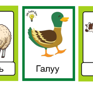 "Энэ юуны дуу вэ?" Бага бүлэг