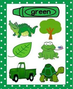 Сэдэв: Ногоон өдөр Бүлэг: Бага (2 нас)