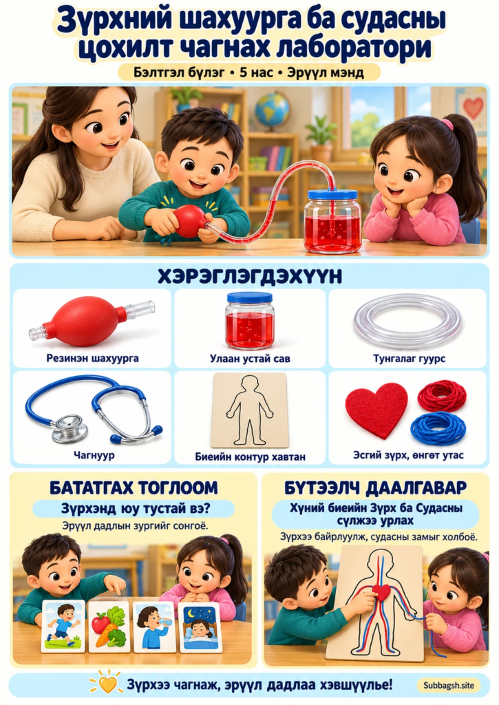Зүрхний шахуурга ба судасны цохилт чагнах лаборатори — Бэлтгэл бүлгийн эрүүл мэндийн нээлттэй үйл ажиллагаа