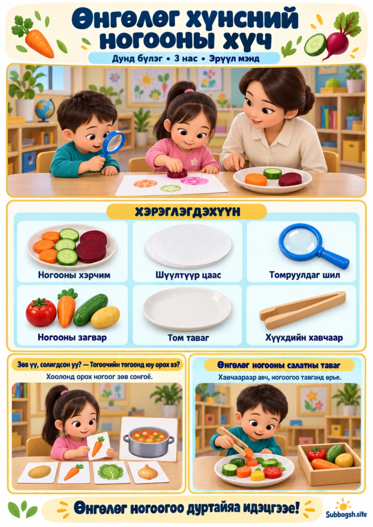 Өнгөлөг хүнсний ногооны хүч — Дунд бүлгийн эрүүл мэндийн нээлттэй үйл ажиллагаа